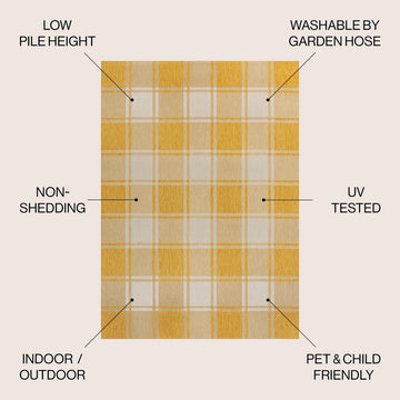 Sabine Traditional Farmhouse Bold Gingham Area Rug